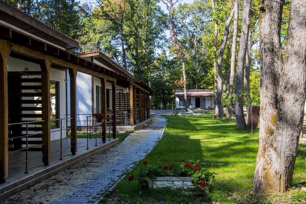 Elmona Villas Kamchia  Exteriör bild